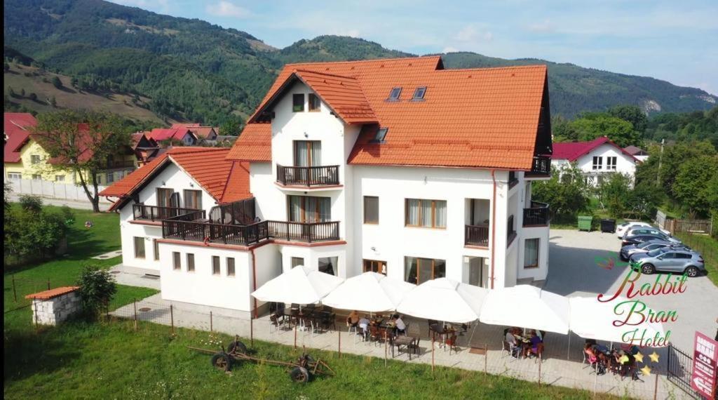 Hotel Rabbit Bran Moieciu de Jos Exterior photo